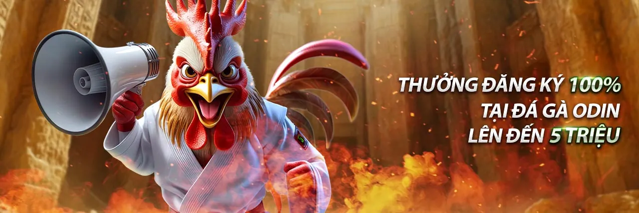 Sòng bạc trực tuyến 8ok code với các trò chơi hấp dẫn