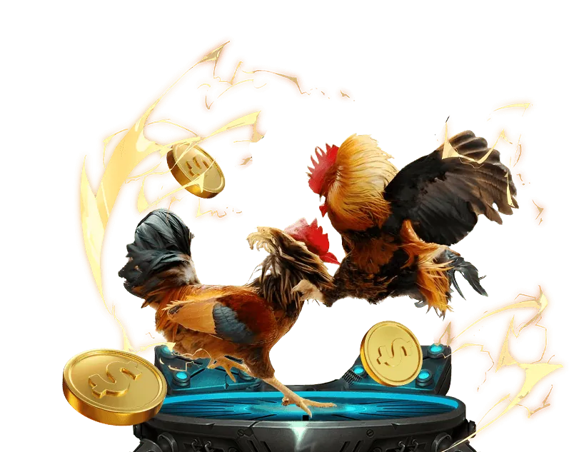 Chơi có trách nhiệm tại 8ok code